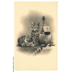 CD-BFP1-1051-CHAT - Chats et vin