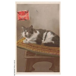CD-BFP1-1037-CHAT - Chat sur un tapis