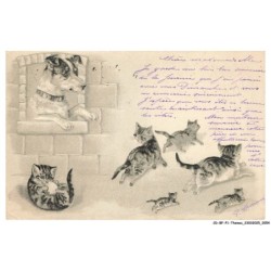 CD-BFP1-1028-CHAT - Chats fuyant un chien