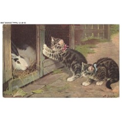 CD-BFP1-1045-CHAT - Chat et lapin