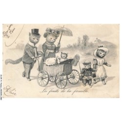 CD-BFP1-1042-CHAT - Les fruits de la famille