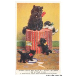CD-BFP1-1032-CHAT - A votre santé et que vos seuls ennuis en soient de petits