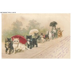 CD-BFP1-1027-CHAT - Pelerinage de chat