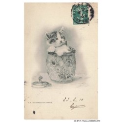 CD-BFP1-1036-CHAT - Chat dans un pot