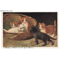 CD-BFP1-1041-CHAT - Chaton dans un panier