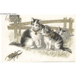 CD-BFP1-1052-CHAT - Chats et scorpion