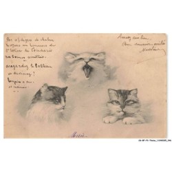 CG-BFP3-1126-CHATS - Des chats PORTRAIT