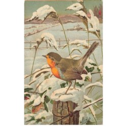 OISEAUX -MK46800 LE ROUGE GORGE