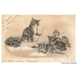 CG-BFP3-1129-CHATS - Des chats ecrivent