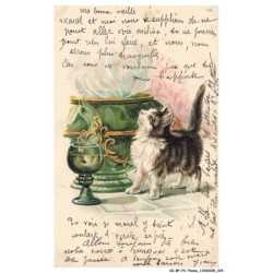 CG-BFP3-1115-CHATS - Un chat - Un verre