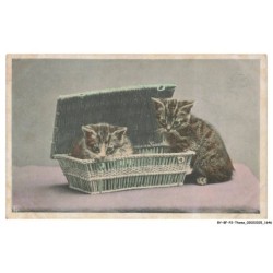 BY-BFP2-1109-CHAT - DEUX CHATONS ET UN PANIER