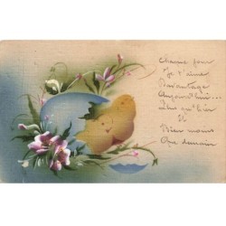 OISEAUX -MK46739 POUSSINS COQUILLES OEUF