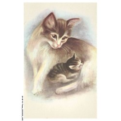 BY-BFP2-1131-CHAT - PORTRAIT D'UN CHAT ET SON PETIT