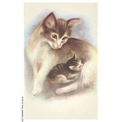BY-BFP2-1108-CHAT - PORTRAIT D'UN CHAT ET SON PETIT