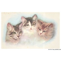 BY-BFP2-1130-CHAT - PORTRAIT DE TROIS CHATS