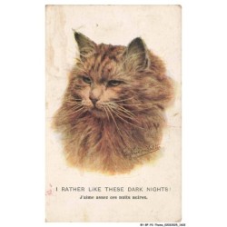 BY-BFP2-1087-CHAT - I RATHER LIKE THESE DARK NIGHTS - PORTRAIT DE CHAT