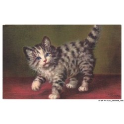 BY-BFP2-1089-CHAT - PORTRAIT D'UN CHATON
