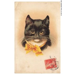 BY-BFP2-1111-CHAT - PORTRAIT D'UN CHAT AVEC UN NOEUD JAUNE