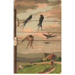 ANIMAUX -SAN47213 OISEAUX POSES SUR DES FILS ELECTRIQUES