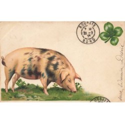 COCHONS -MK41586 COCHON QUI MANGE DE LHERBE TREFLES