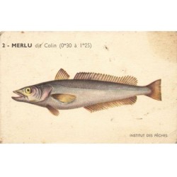 ANIMAUX  -SAN47171 POISSON MERLU DU COLIN INSTITU DES PECHES