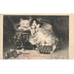 CHATS -MK46779 CHATS DANS UNE GROSSE MARMITE