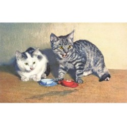 CHATS -MK39923 DEUX CHATS ET DEUX BOLS BLEU ET ROUGE