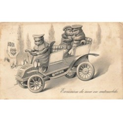 CHATS AF-DC486 CHAT EN EXCURSION DE NOCE EN AUTOMOBILE TACOT