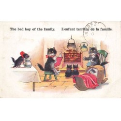 CHATS NOIRS -FG35025 CAT BLACK KATZEN ENFANT TERRIBLE DE LA FAMILLE