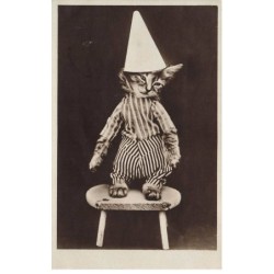 CHATS -MK39799 CHAT HABILLE SUR UN TABOURET CLOWN
