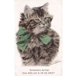 CHAT TIGRE -FG35015 CAT KATZE NOEUD VERT LA VIE EST CHERE PAR VALTER