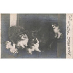CHATS -MK39805 PRES DU FEU 4 CHATS