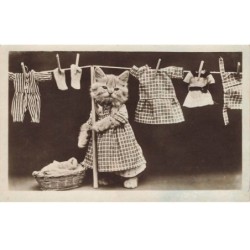 CHATS -MK39801 CHAT HUMANISER SECHAGE DU LINGE