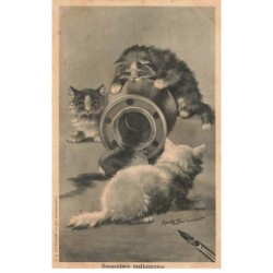 CHATS -MK39915 BOUSCULADE MALHEUREUSE CHATS PAR ILLUSTRATEUR MAUDE SERIVENER