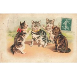CHATS -MK39933 CHATS COLLIER NOEUD PAPILLON