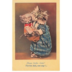 CHATS -MK39778 FAIS BIEN DODO MON ANGE CHAT CHATON HUMANISER