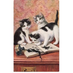 CHATS -MK39964 CHATS FLACON ENCRE RENVERSE SUR UN LIVRE