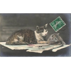 CHATS -MK39793 UN CHAT ET UN CHATON