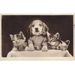 CHATS -MK39802 CHIOT ET DEUX CHATONS A TABLE HUMANISES