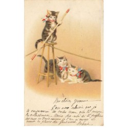 CHATS -MK39899 CHATS FUNAMBULE CIRQUE