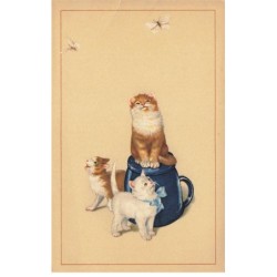 CHATS CHAT -FG35100 CAT KATZE TROIS CHATONS QUI REGARDENT DES PAPILLONS