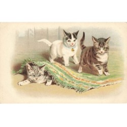 CHAT -35210 CHATS CAT KATZE CACHE CACHE SOUS LE TAPIS CLOCHETTE