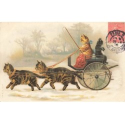 CHAT -35235 CHATS CAT KATZE BELLE ATTELAGE DE CHATS TIRANT UN FIACRE