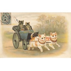 CHAT -35231 CHATS CAT KATZE SUPERBE ATTELAGE DE CHAT ROUX TIRANT UN CHARIOTS AVEC UN COUPLE TIGRES