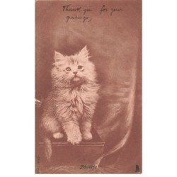 CHAT -32376 REVERIE BEAU CHATON BLANC A POIL LONGS
