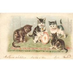 CHAT -35237 CHATS CAT KATZE 4 CHATS JOUENT AVEC UNE ASSIETTE