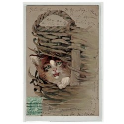 CHAT -17115 CHAT UN CHAT ROUX DANS UN PANIER CARTE GAUFREE