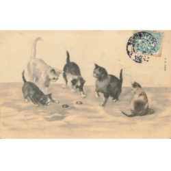 CHAT -35212 CHATS CAT KATZE GROUPE DE CHATS QUI JOUENT AVEC DES INSECTES INSECT