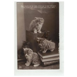 CHAT -17104 4 CHATONS GRIS LES SOURIS ET LES RATS ......