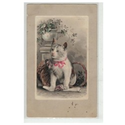 CHAT -17112 UN CHAT TRES ELEGANT AVEC NOEUD ROSE ET PANIER